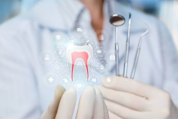 Best Laser Dentistry  in Tangerine, FL