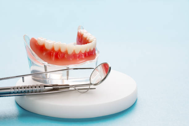 Why Choose Us for Your Dental Needs in Tangerine, FL